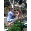 Пропала собакак