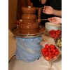 Шоколадный фонтан (Шоколадний фонтан)  прокат