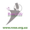 Цветы Rose Life.  Бесплатная доставка цветов.  Доставка цветов Киев.  Заказ цветов Киев.