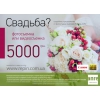Свадебная фотосъемка/свадебная видеосъемка/свадебный фотограф/свадебное видео/фотограф на свадьбу/видеооператор на свадьбу/сваде