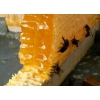 Мед натуральный и пчелопродукты