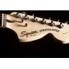 Squier Stratocaster Standard (с кейсом)  made in Indonesia For USA