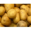 продам картофель
